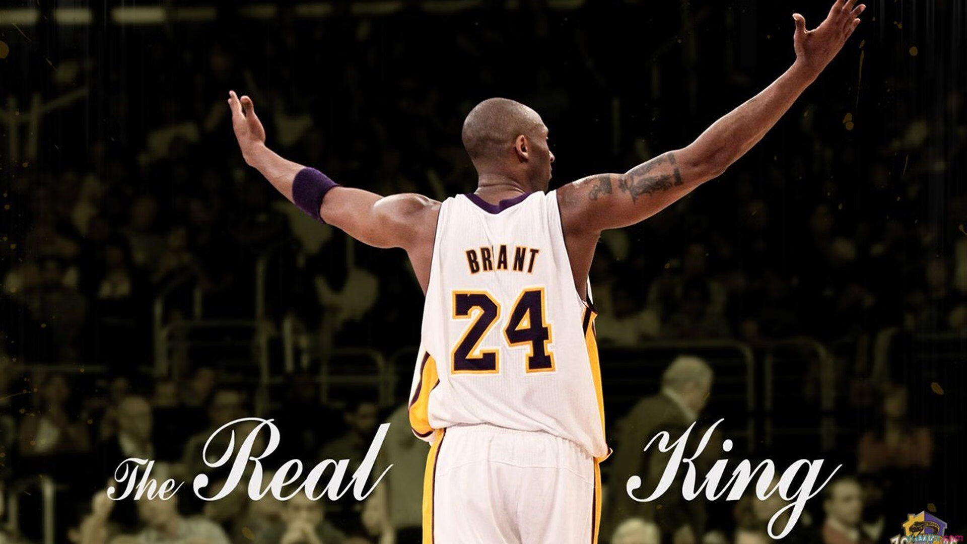 “未来的速度”——科技创新引爆激情赛车体验，科技赛车游戏